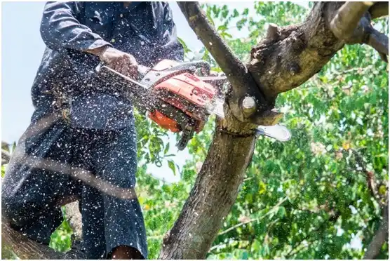 tree services Munford
